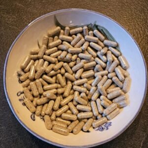 Mushrooms Capsules
